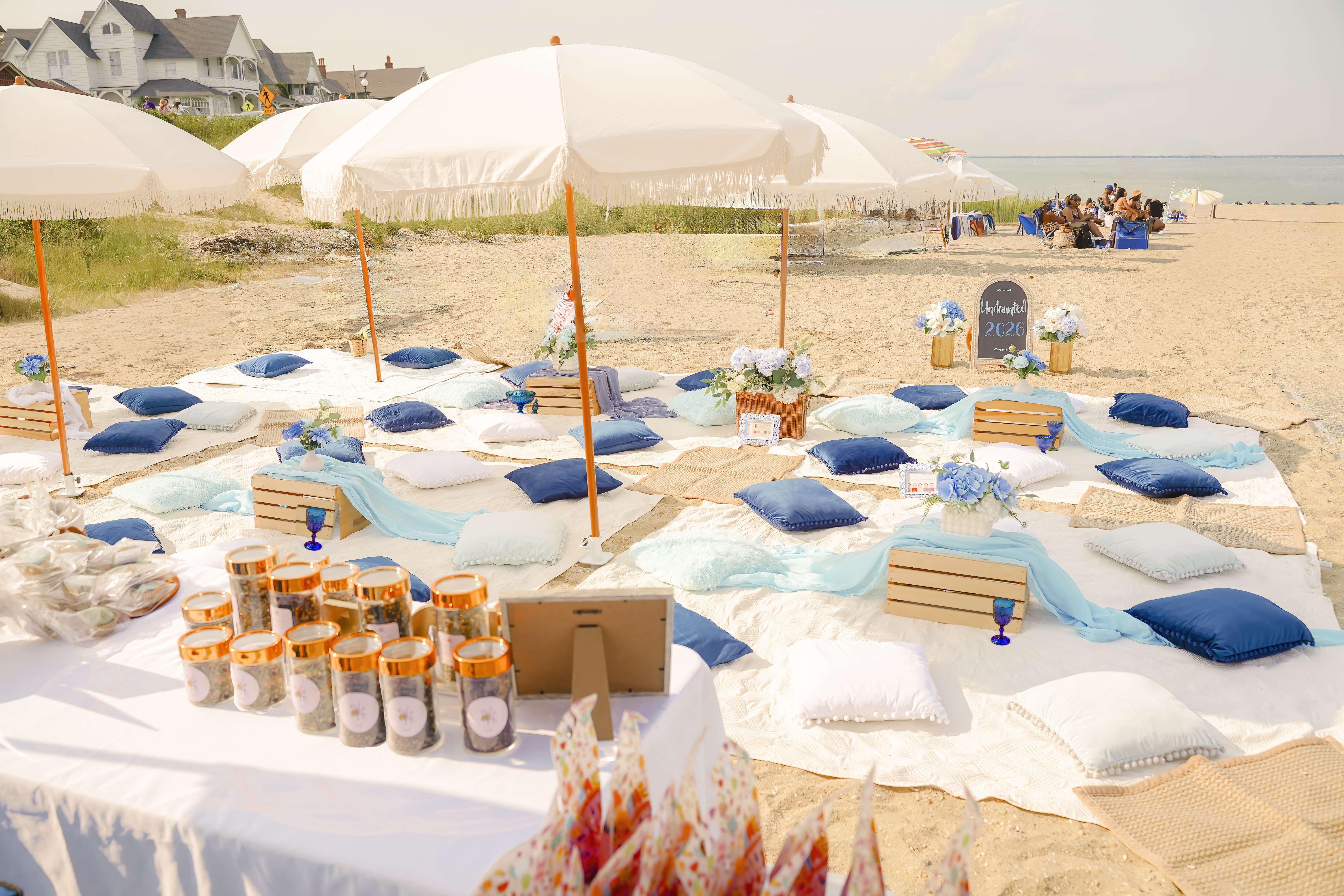 Martha's Vineyard Picnic: Spelman Alumnae